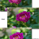 Illustration for article titled Sony Alpha NEX-5 photo samples: